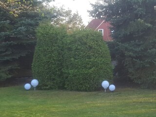 Bungalow Wieck Registrazione all'aperto 3