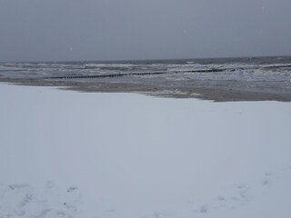 Bungaló Wieck Entorno 28