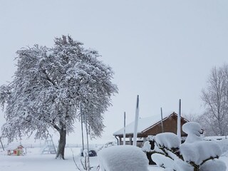 Bungalow Wieck Registrazione all'aperto 5