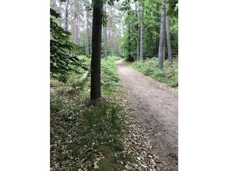 Bungalow Wieck Environnement 32