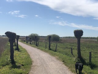 Bungalow Wieck Ambiente 33