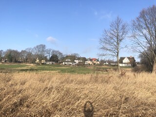 Bungaló Wieck Entorno 35