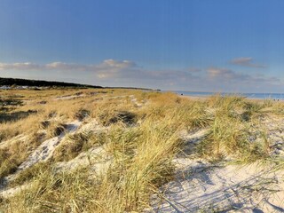 Bungalow Wieck Environnement 39