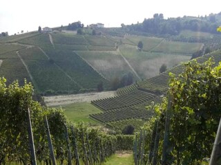 Casale Ciglie Ambiente 19