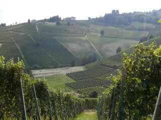 Casale Ciglie Ambiente 24