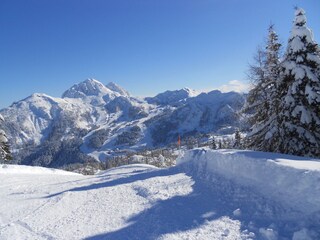Winterlandschaft - im Hintergrund Skigebiet Nassfeld