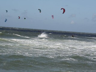 Bungalow De Cocksdorp Ambiente 15