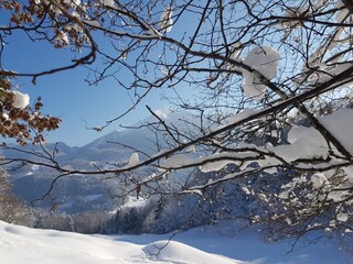 Winterlandschaft