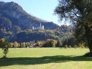 Schloss Neuschwanstein