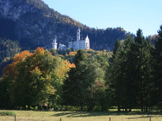 Ferienwohnung Schwangau Umgebung 12