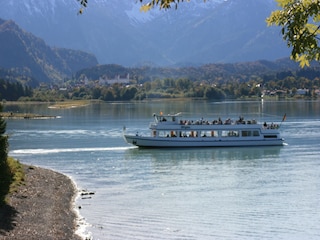 Forggensee