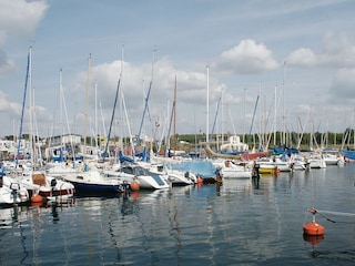 Zöbigker Hafen