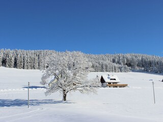 Winter Wunderland