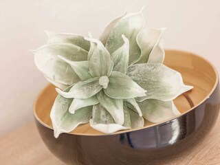 Appartamento per vacanze Sassnitz  10