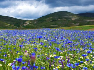 Appartamento per vacanze Ripatransone Ambiente 21