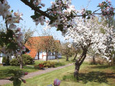 Spring blossom and winter in the holiday village