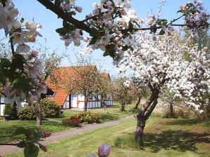 Holiday house Holiday village 'Altes Land' - Hollern-Twielenfleth - image1