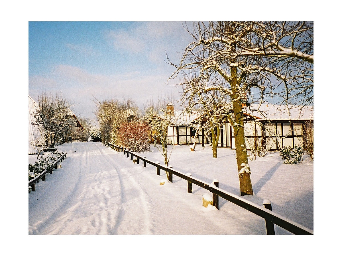 Blütezeit  und Winter im Feriendorf Altes Land