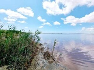 Villa Rojales Umgebung 37