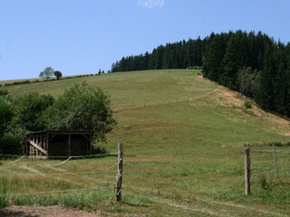 Vakantiehuis St. Georgen im Schwarzwald Omgeving 30