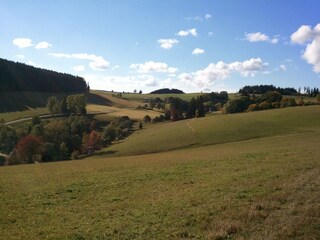 Vakantiehuis St. Georgen im Schwarzwald Omgeving 31