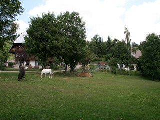 Ferienhaus St. Georgen im Schwarzwald Umgebung 26