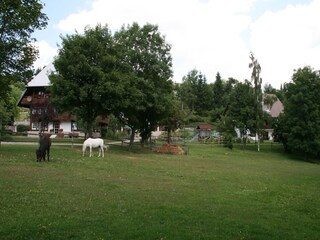 Vakantiehuis St. Georgen im Schwarzwald Omgeving 27