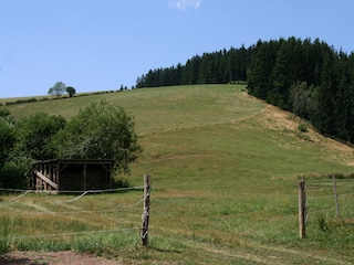 Ferienhaus St. Georgen im Schwarzwald Umgebung 29