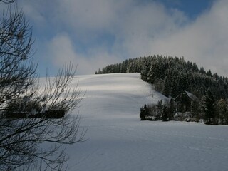 Vakantiehuis St. Georgen im Schwarzwald Omgeving 25