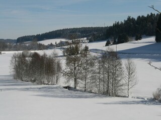 Vakantiehuis St. Georgen im Schwarzwald Omgeving 28