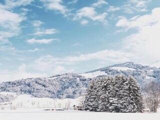 Vakantiehuis St. Georgen Omgeving 26