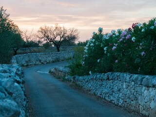 Casa de vacaciones Martina Franca Grabación al aire libre 9