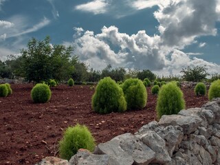 Maison de vacances Martina Franca Environnement 27