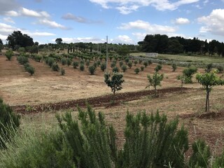 Casa de vacaciones Martina Franca Grabación al aire libre 15