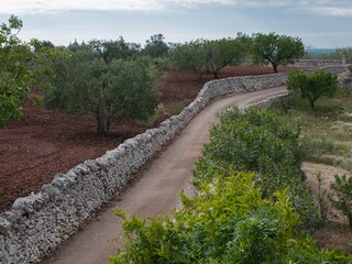 Casa per le vacanze Martina Franca Registrazione all'aperto 8