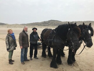 Casa per le vacanze Domburg Registrazione all'aperto 5