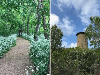 Casa per le vacanze Domburg Ambiente 15