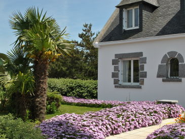 Villa Avel Mor