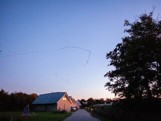 Villa Sint Maartenszee Buitenaudio-opname 6