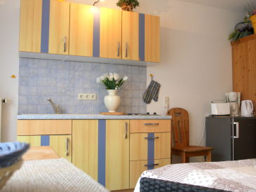 Apartment 1-Raum-App. mit Terrasse "AM SCHLOSSBLICK"