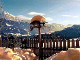 Wintertraum