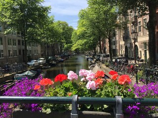 Appartement Oostzaan Environnement 15