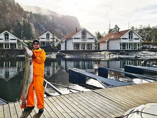 Vakantiehuis Hjelmeland  4