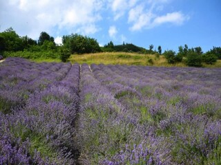 Casa de campo Ciglie Entorno 24
