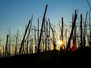 Casa de campo Ciglie Entorno 34