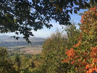 Casale Ciglie Ambiente 32