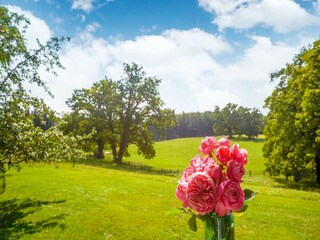 Casa de vacaciones Andechs Grabación al aire libre 7