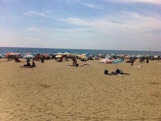 Ferienhaus Marina di Massa Umgebung 31