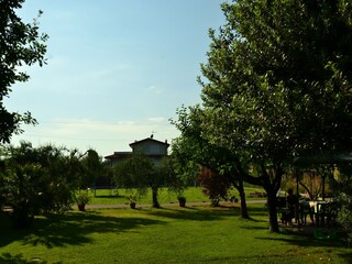Ferienhaus Marina di Massa Umgebung 36