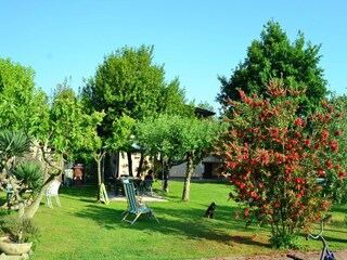 Casa per le vacanze Marina di Massa Registrazione all'aperto 12